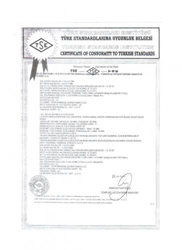 tse1
