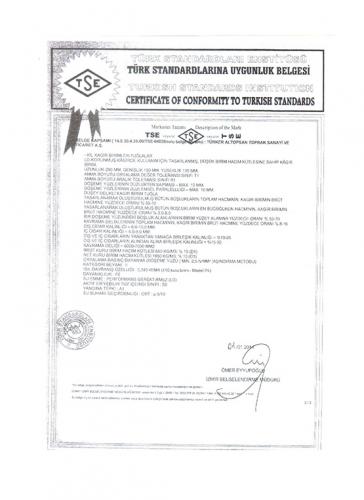tse2